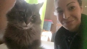 Lost and found Kitty