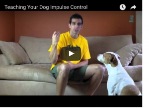 screen shot training video